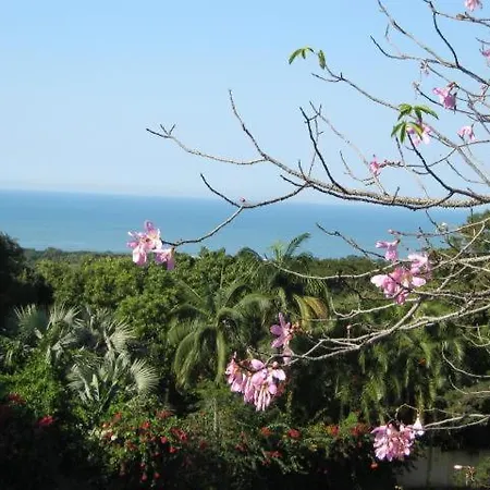 Raphia On Sea Apartment Mtunzini Exterior photo