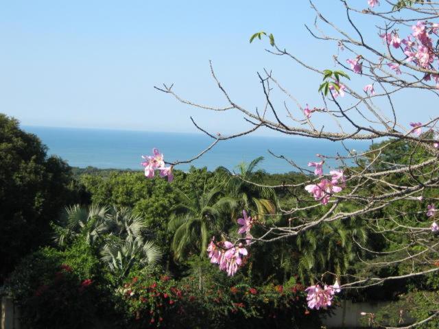 Raphia On Sea Apartment